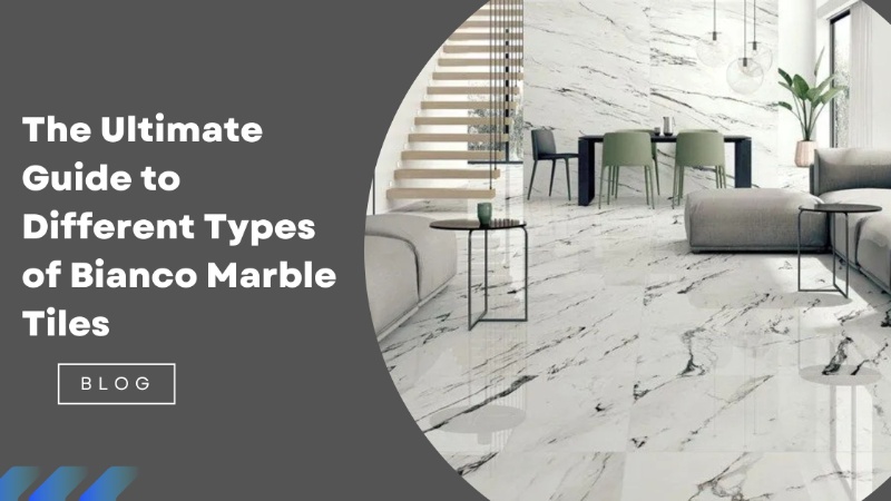 The Ultimate Guide to Different Types of Bianco Marble Tiles